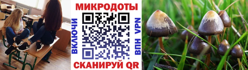 Купить закладки  Ухта  Галлюциногенные грибы Psilocybe 
